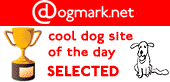 A Tribute to Max is the "cool dog site of the day!"